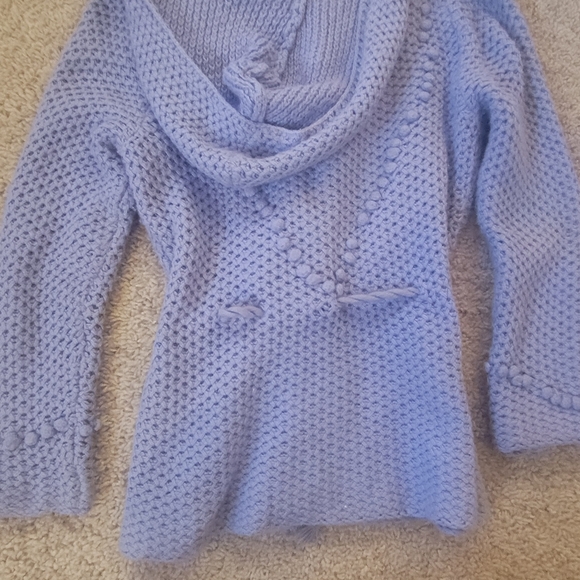 Anthropologie hoodie sweater - Picture 10 of 14